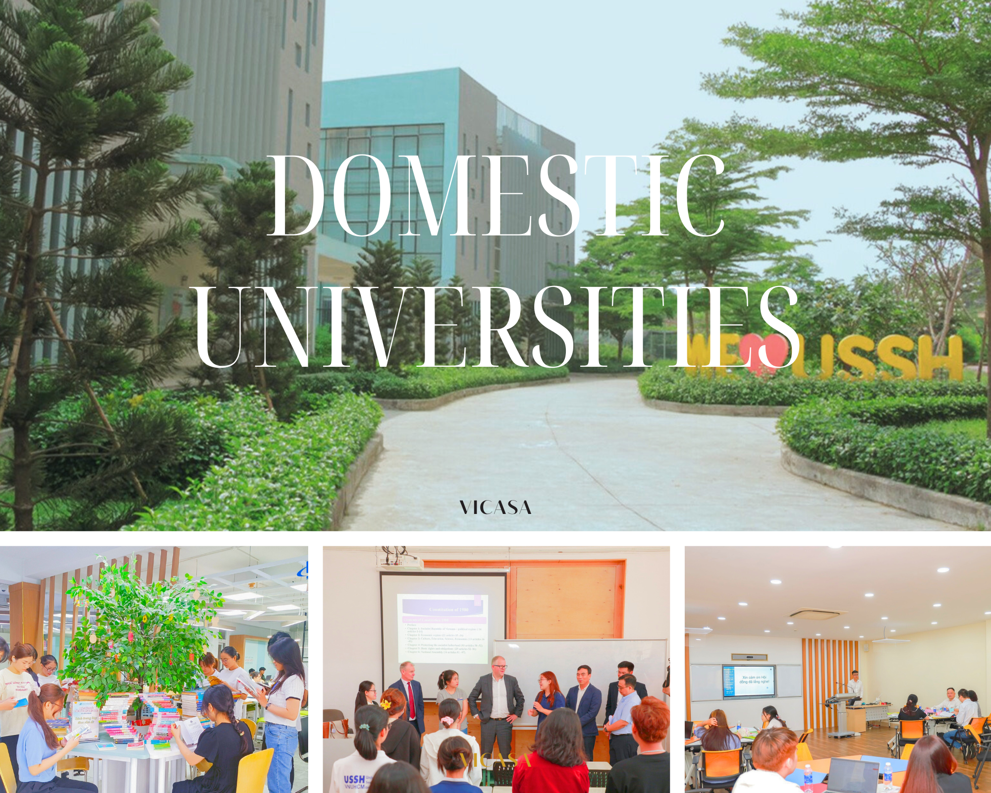 Domestic universities