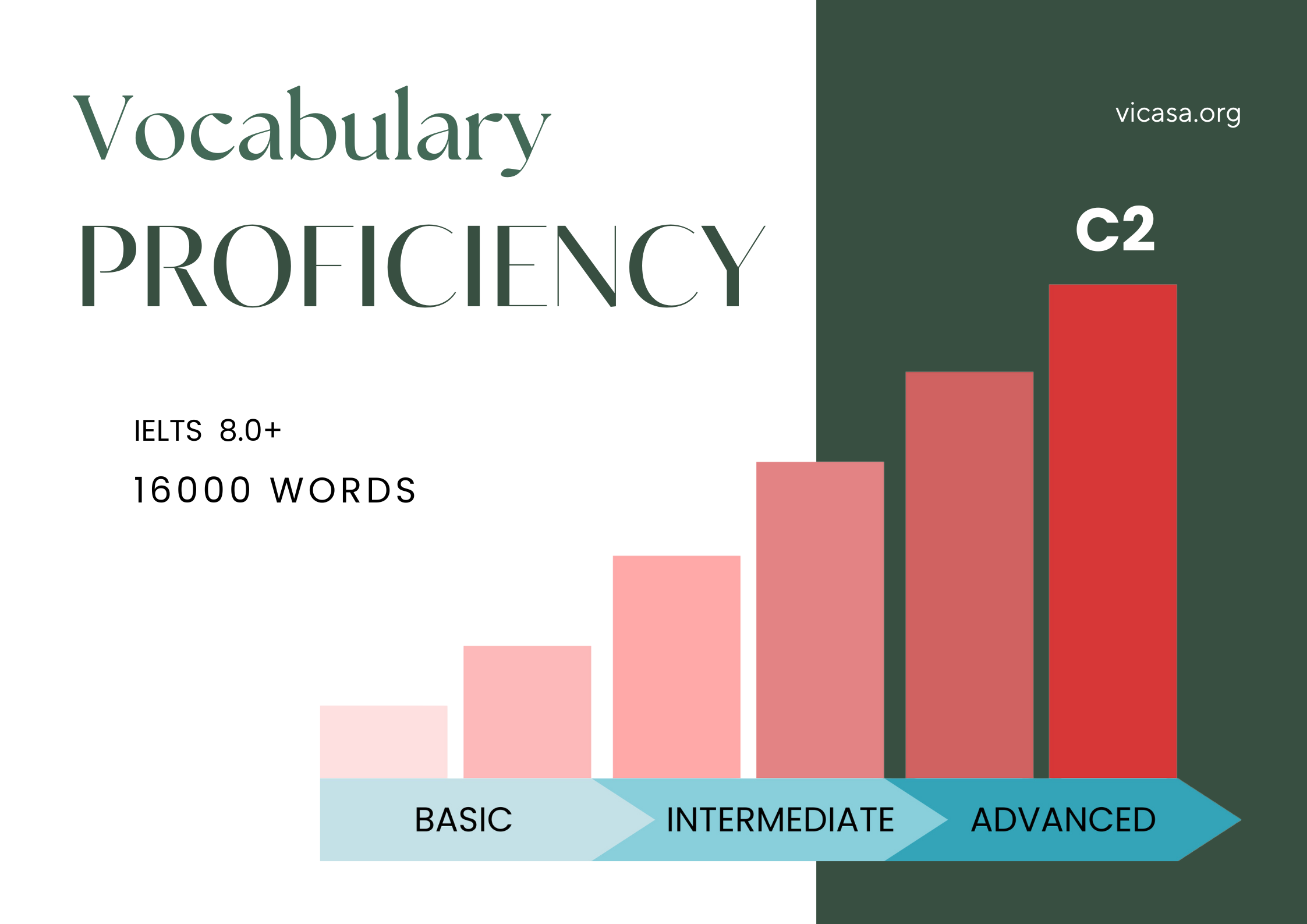 C2 VOCABULARY