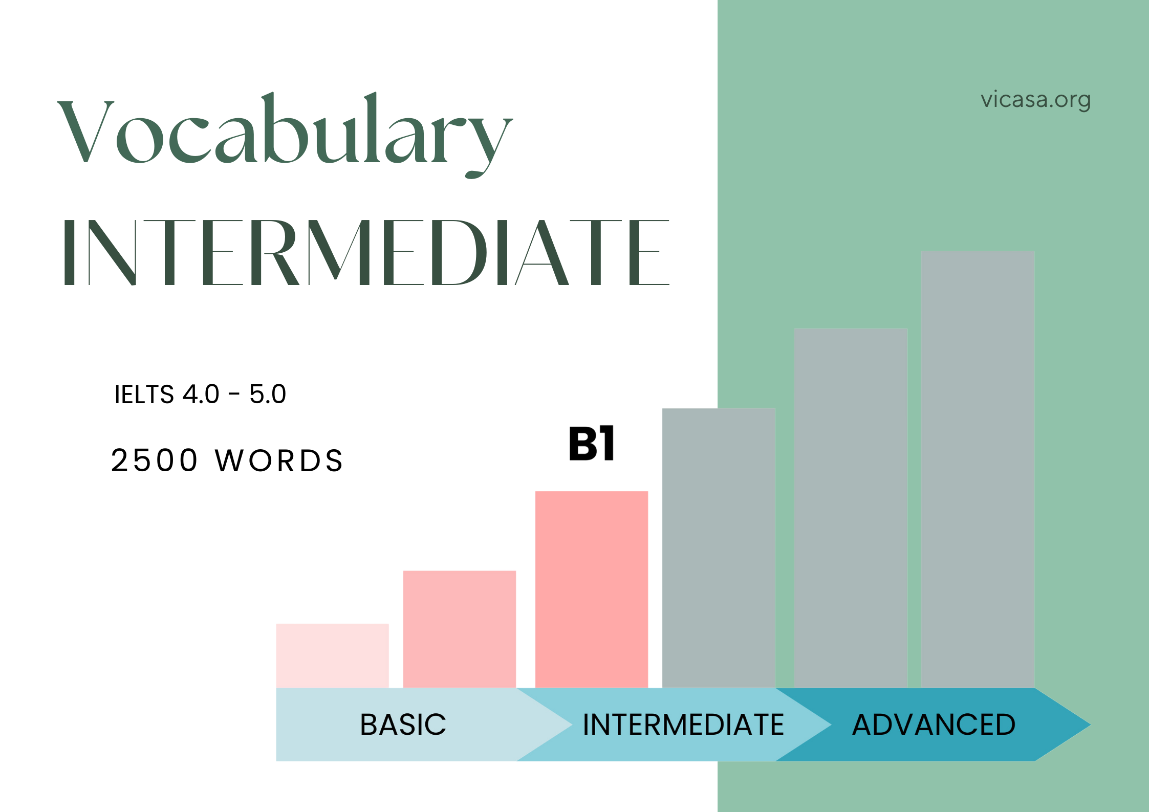 B1 VOCABULARY