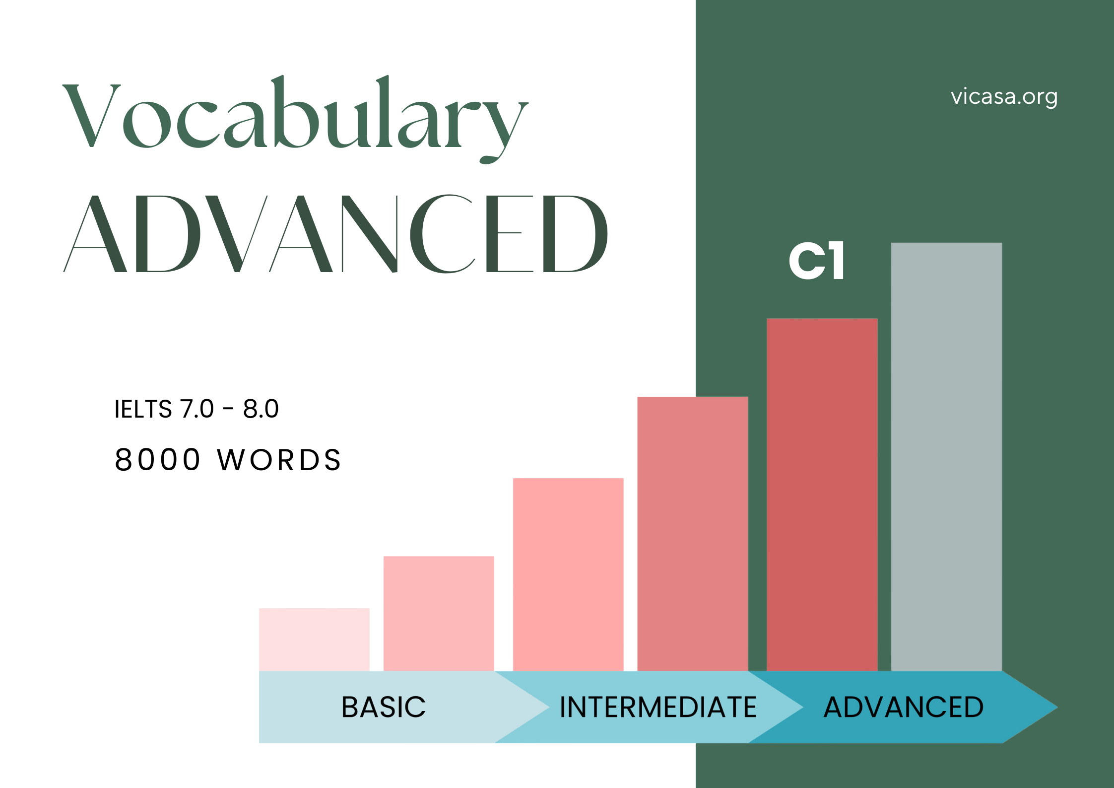 C1 VOCABULARY