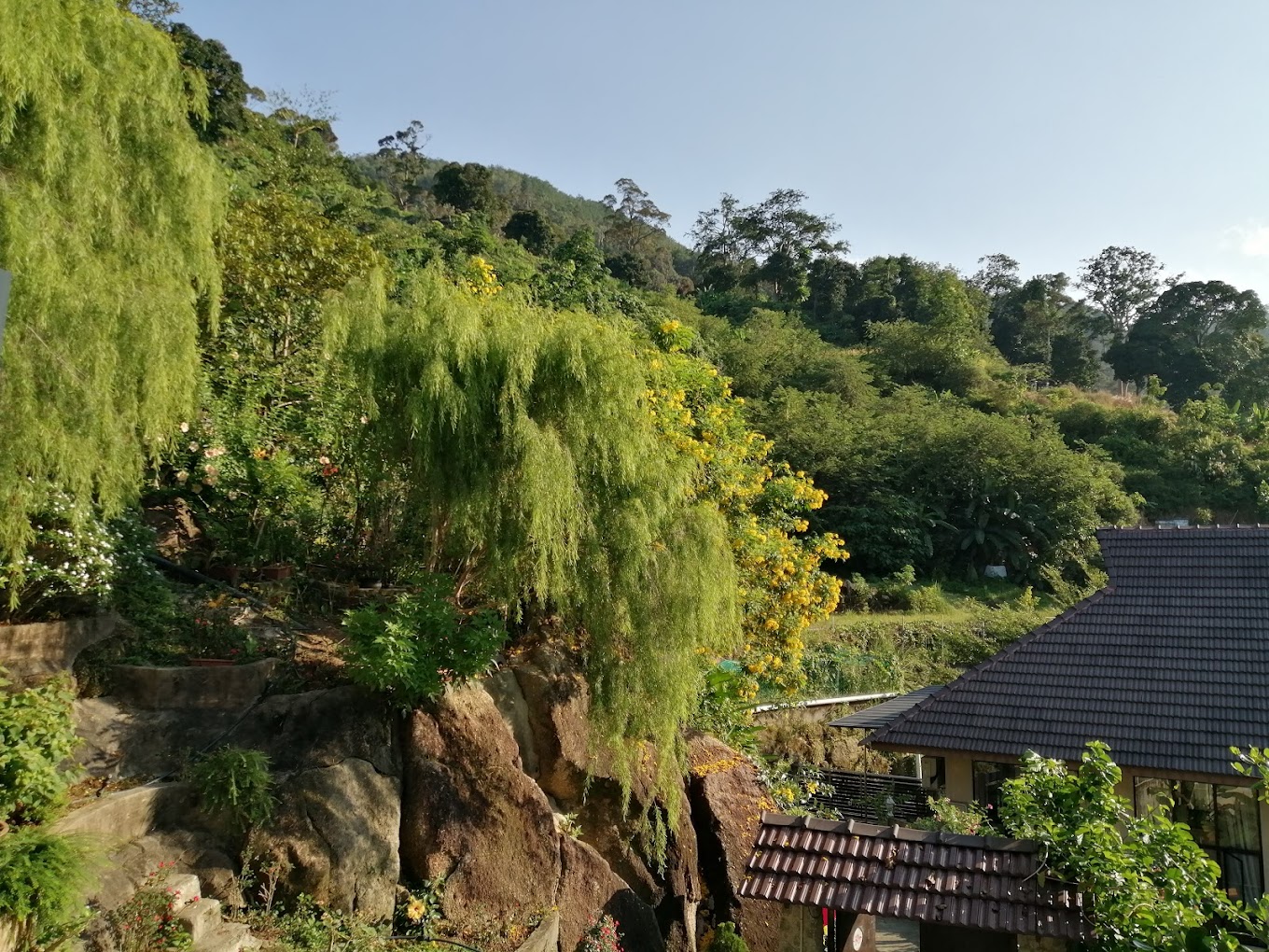 PA AUK Appamada Vihari Meditation Center 3