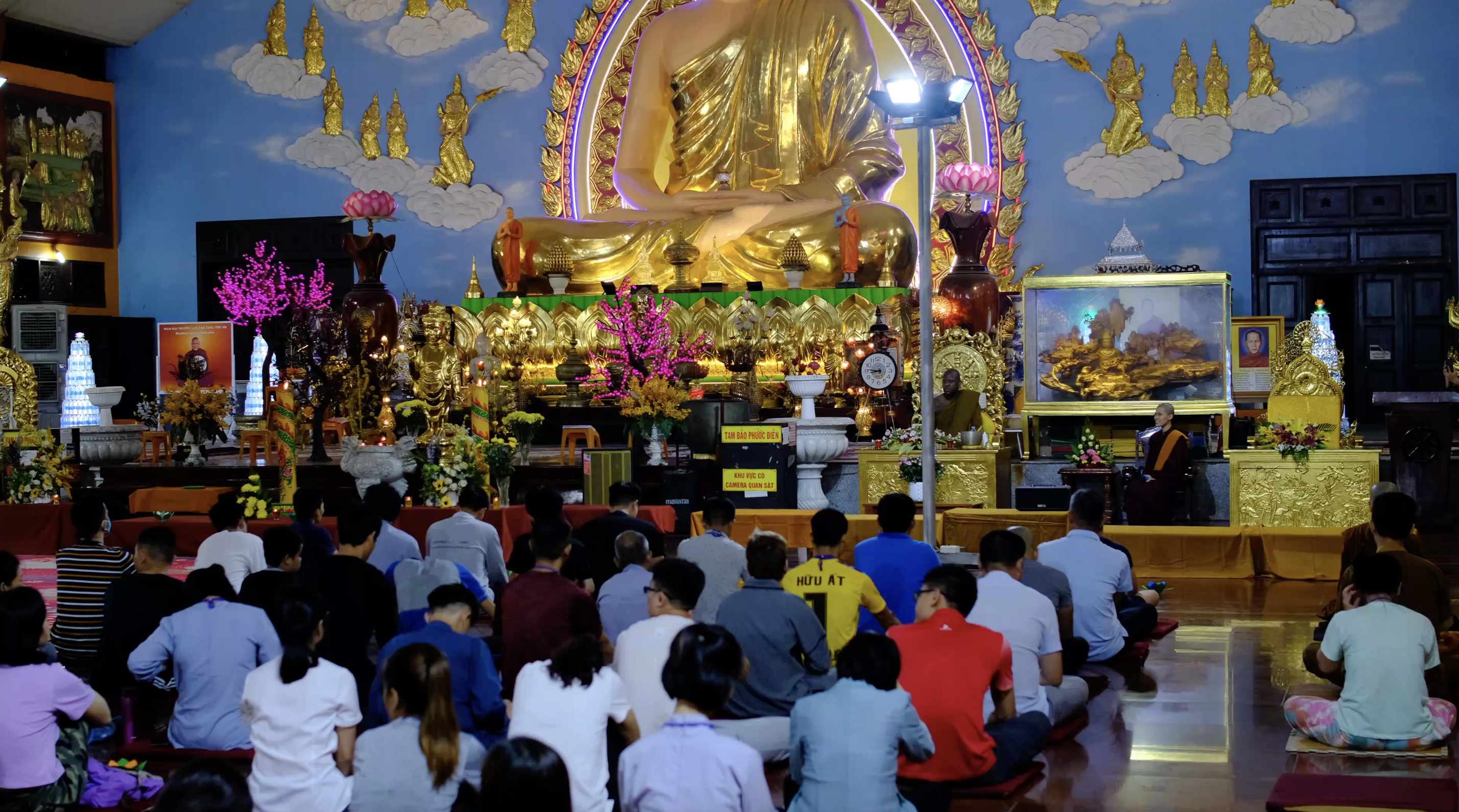 tue minh Buddhist activities