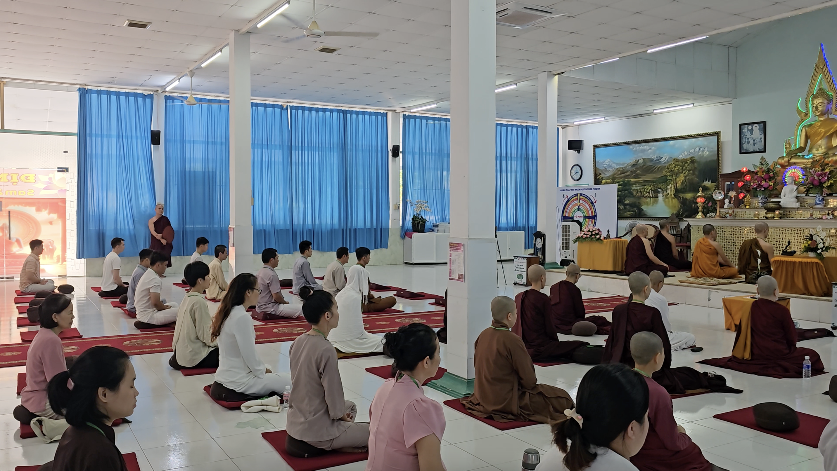 tue minh Buddhist activities