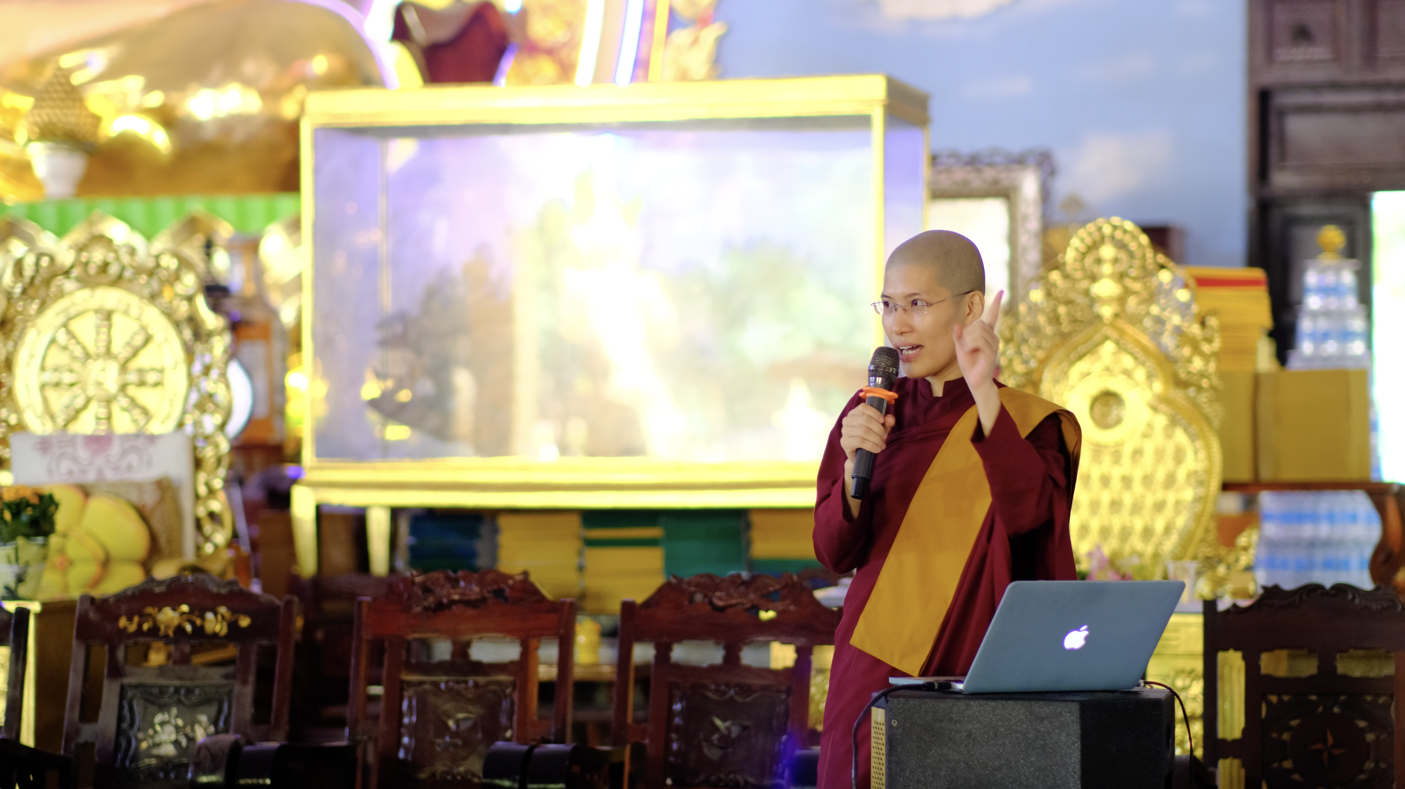 tue minh Buddhist activities