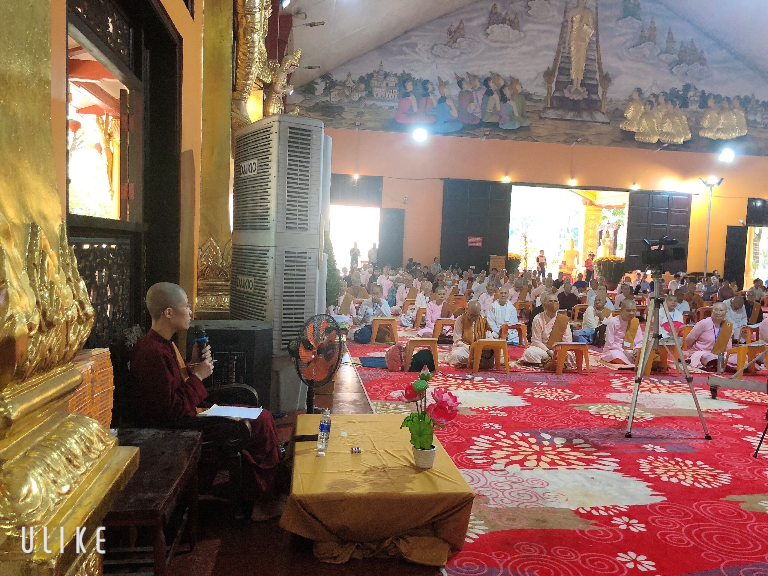 tue minh Buddhist activities